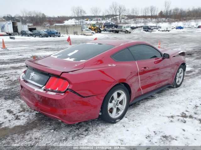 Photo 3 VIN: 1FA6P8AM0G5201504 - FORD MUSTANG 