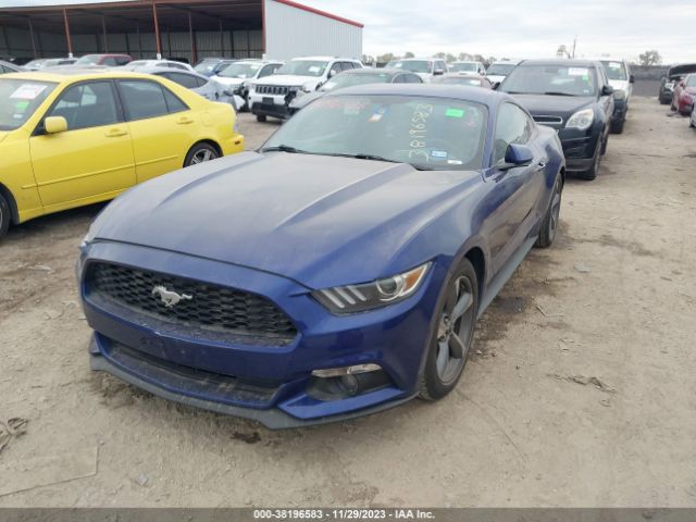 Photo 1 VIN: 1FA6P8AM0G5209067 - FORD MUSTANG 