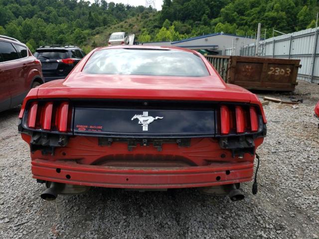 Photo 5 VIN: 1FA6P8AM0G5219839 - FORD MUSTANG 