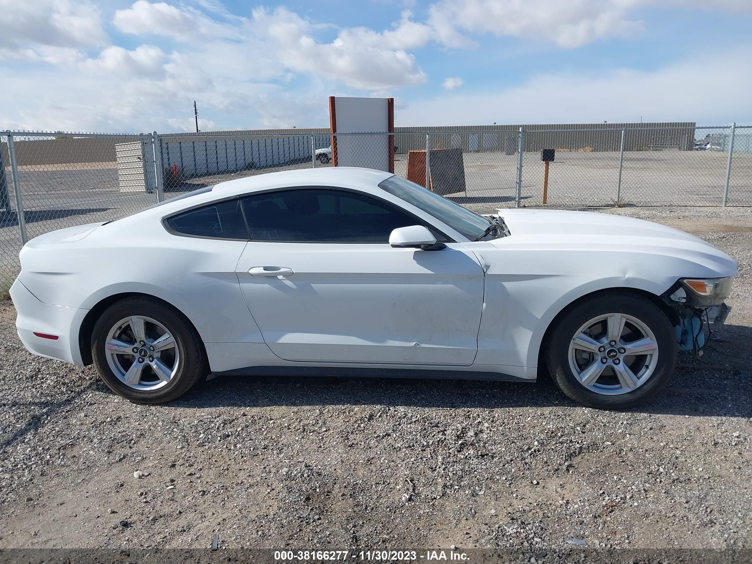 Photo 12 VIN: 1FA6P8AM0G5221168 - FORD MUSTANG 