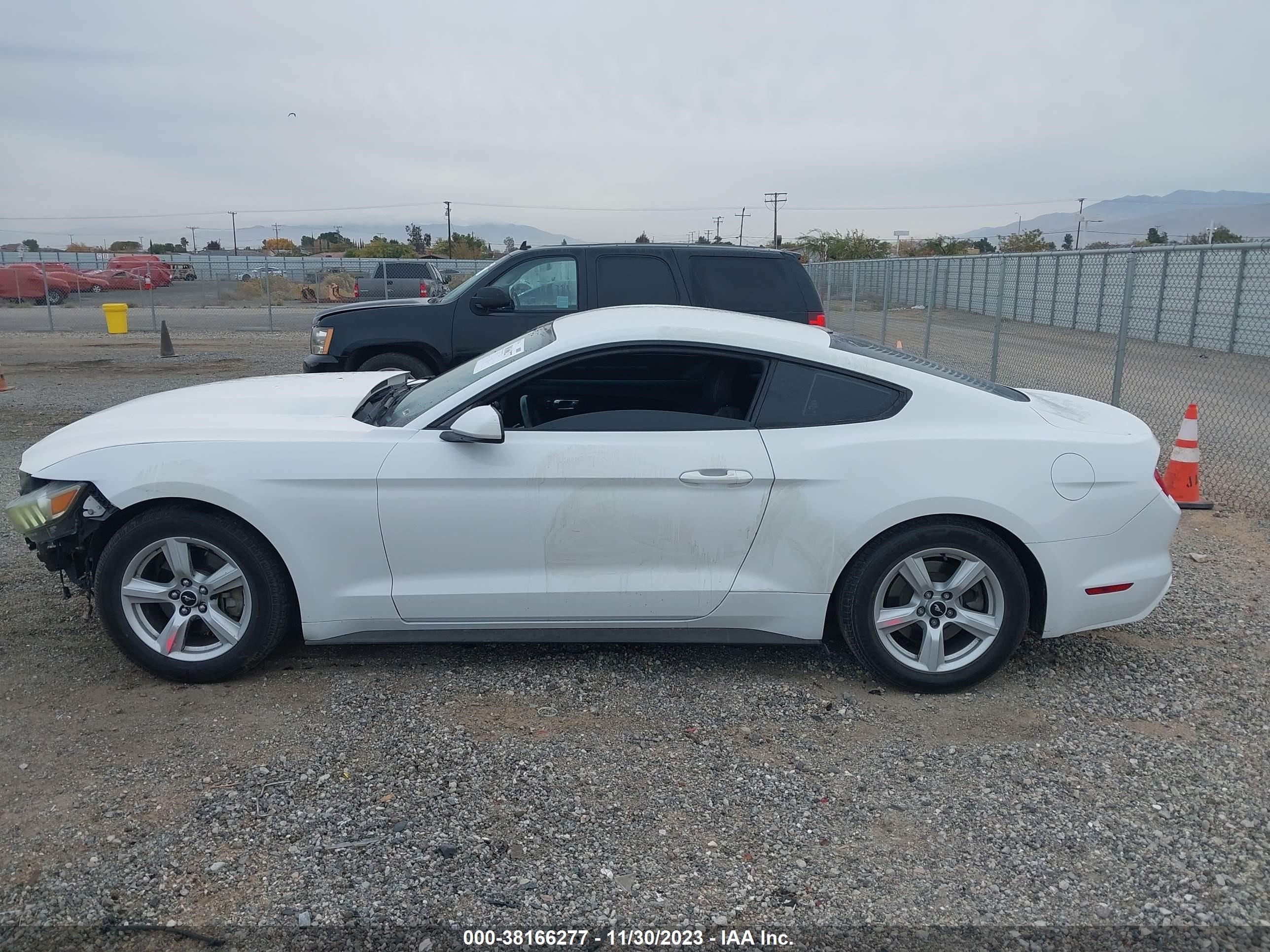 Photo 13 VIN: 1FA6P8AM0G5221168 - FORD MUSTANG 