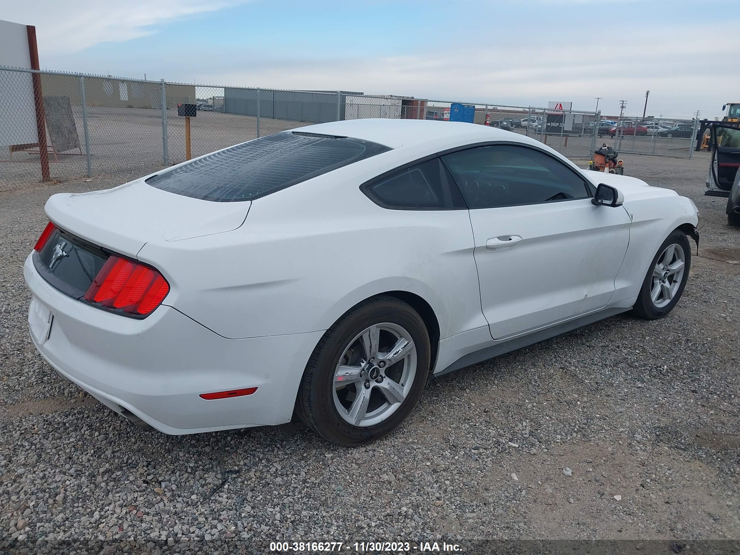 Photo 3 VIN: 1FA6P8AM0G5221168 - FORD MUSTANG 