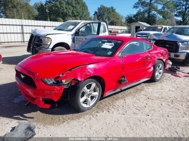 Photo 1 VIN: 1FA6P8AM0G5224118 - FORD MUSTANG 