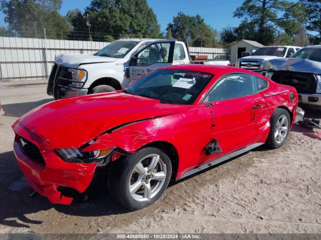 Photo 5 VIN: 1FA6P8AM0G5224118 - FORD MUSTANG 