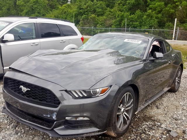 Photo 1 VIN: 1FA6P8AM0G5228783 - FORD MUSTANG 