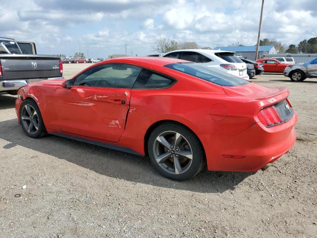 Photo 1 VIN: 1FA6P8AM0G5255224 - FORD MUSTANG 