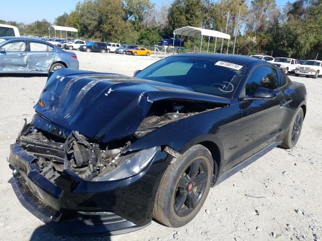 Photo 1 VIN: 1FA6P8AM0G5271679 - FORD MUSTANG 