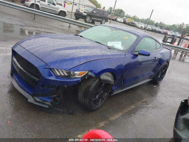 Photo 1 VIN: 1FA6P8AM0G5272251 - FORD MUSTANG 