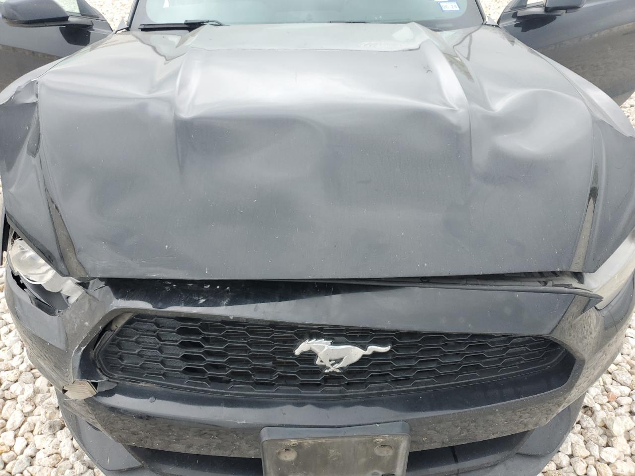 Photo 10 VIN: 1FA6P8AM0G5273206 - FORD MUSTANG 