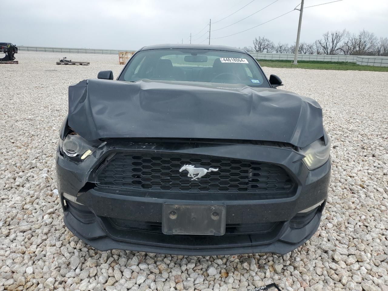 Photo 4 VIN: 1FA6P8AM0G5273206 - FORD MUSTANG 