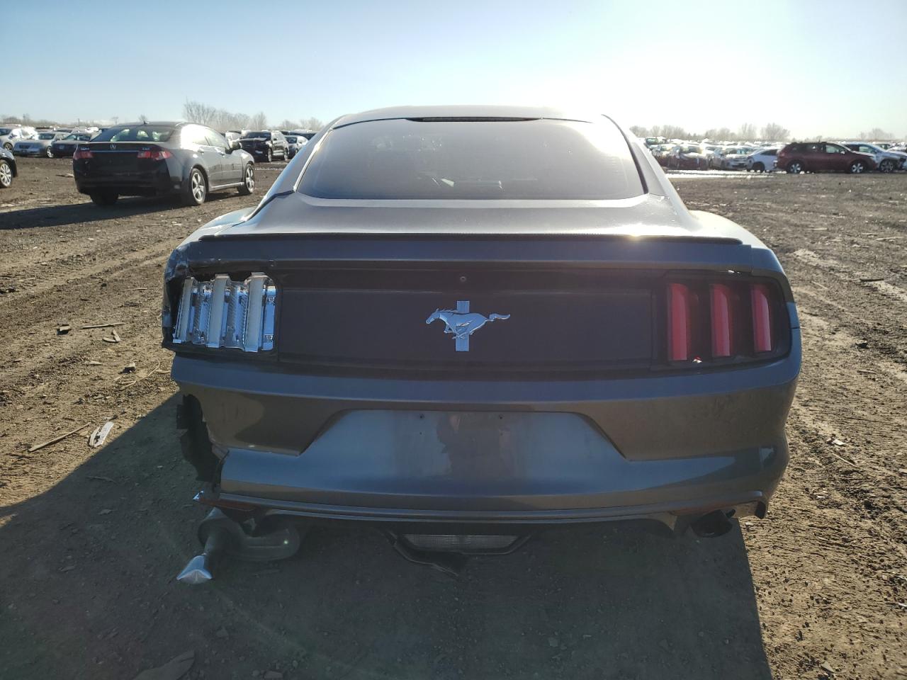 Photo 5 VIN: 1FA6P8AM0G5296324 - FORD MUSTANG 