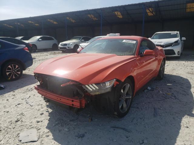 Photo 1 VIN: 1FA6P8AM0G5309010 - FORD MUSTANG 