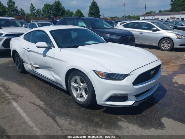 Photo 0 VIN: 1FA6P8AM0G5331590 - FORD MUSTANG 