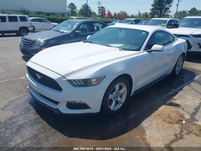 Photo 1 VIN: 1FA6P8AM0G5331590 - FORD MUSTANG 