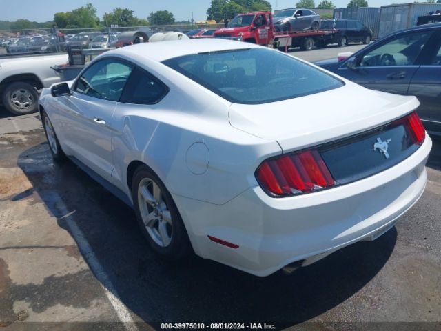 Photo 2 VIN: 1FA6P8AM0G5331590 - FORD MUSTANG 