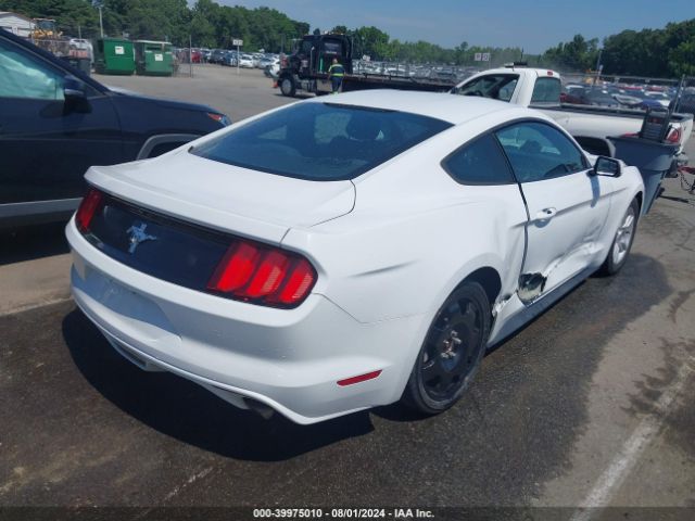 Photo 3 VIN: 1FA6P8AM0G5331590 - FORD MUSTANG 