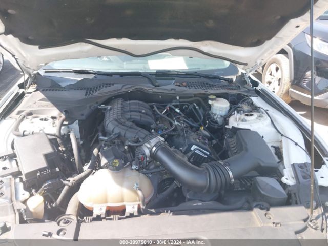 Photo 9 VIN: 1FA6P8AM0G5331590 - FORD MUSTANG 