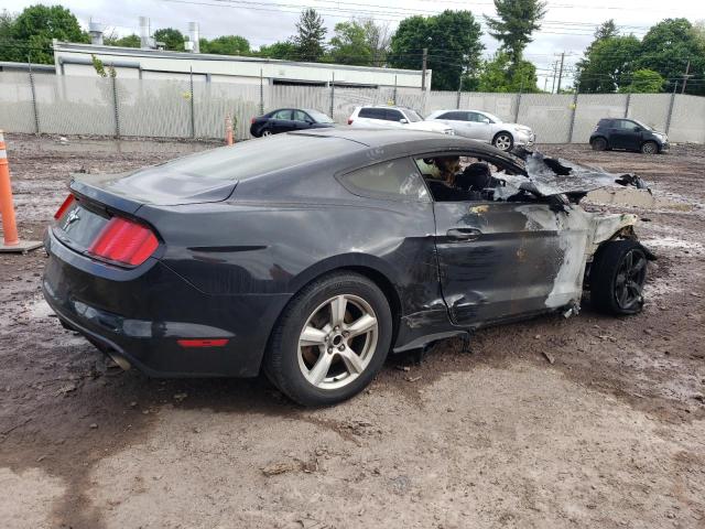 Photo 2 VIN: 1FA6P8AM0H5219552 - FORD MUSTANG 