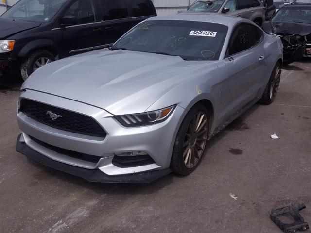 Photo 1 VIN: 1FA6P8AM0H5238442 - FORD MUSTANG 