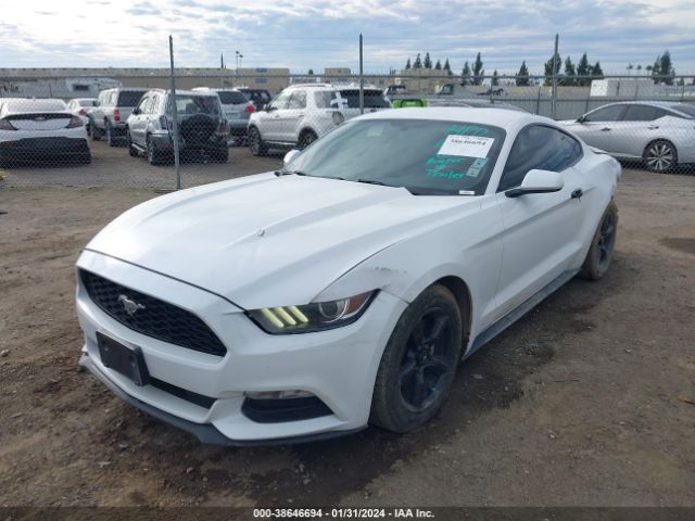 Photo 1 VIN: 1FA6P8AM0H5282120 - FORD MUSTANG 