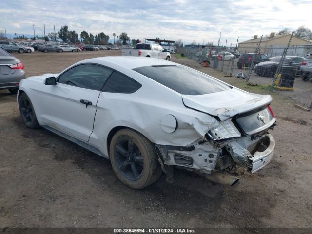 Photo 2 VIN: 1FA6P8AM0H5282120 - FORD MUSTANG 