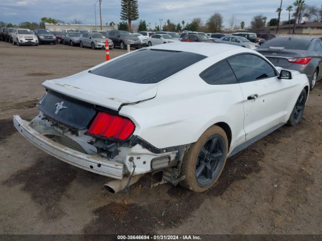 Photo 3 VIN: 1FA6P8AM0H5282120 - FORD MUSTANG 