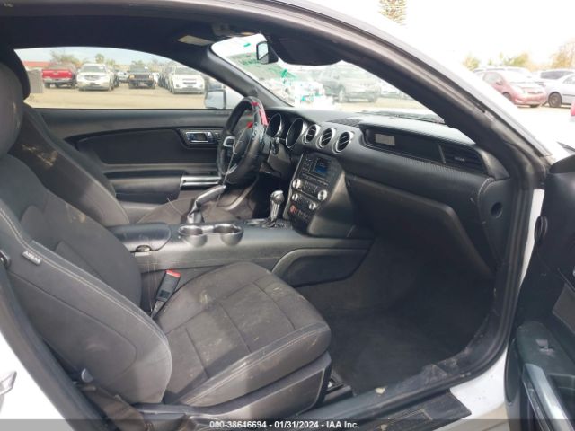 Photo 4 VIN: 1FA6P8AM0H5282120 - FORD MUSTANG 