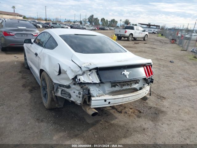 Photo 5 VIN: 1FA6P8AM0H5282120 - FORD MUSTANG 