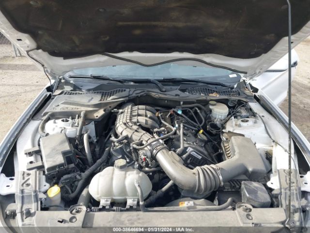 Photo 9 VIN: 1FA6P8AM0H5282120 - FORD MUSTANG 