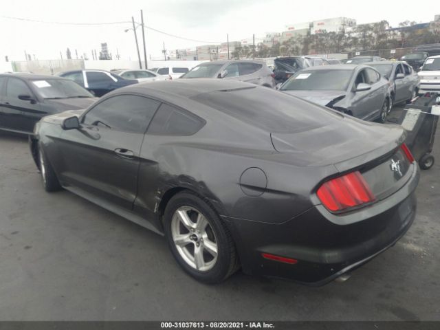 Photo 2 VIN: 1FA6P8AM0H5291819 - FORD MUSTANG 