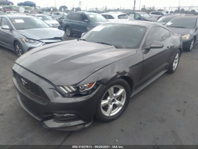 Photo 5 VIN: 1FA6P8AM0H5291819 - FORD MUSTANG 