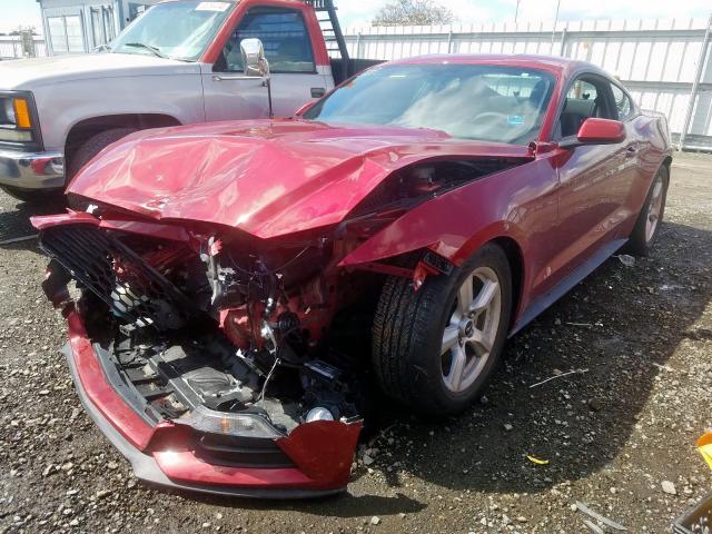 Photo 1 VIN: 1FA6P8AM0H5340534 - FORD MUSTANG 