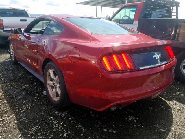 Photo 2 VIN: 1FA6P8AM0H5340534 - FORD MUSTANG 