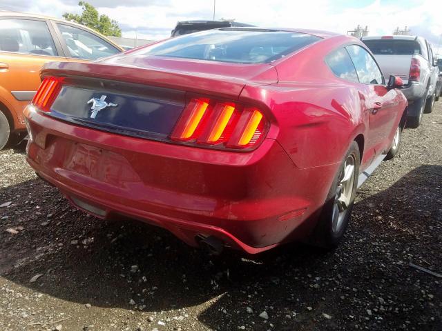 Photo 3 VIN: 1FA6P8AM0H5340534 - FORD MUSTANG 