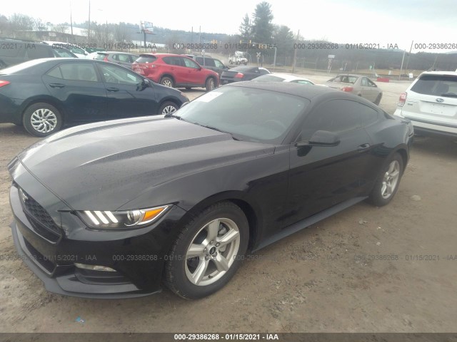 Photo 1 VIN: 1FA6P8AM0H5342770 - FORD MUSTANG 