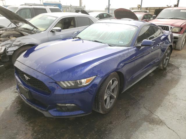 Photo 1 VIN: 1FA6P8AM1F5308799 - FORD MUSTANG 