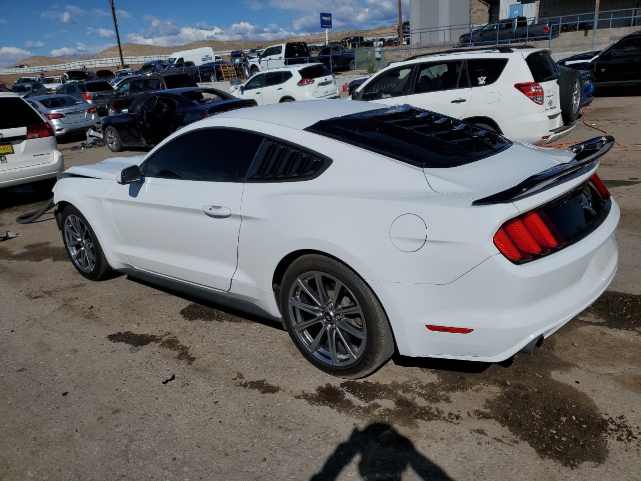 Photo 1 VIN: 1FA6P8AM1F5319107 - FORD MUSTANG 