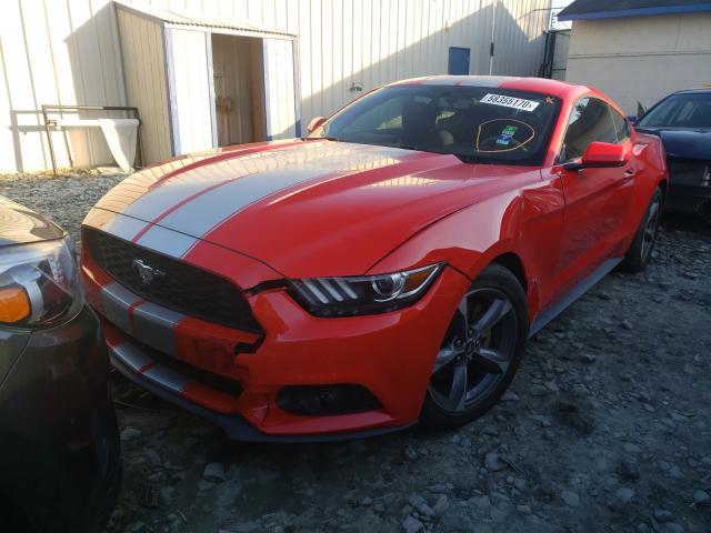 Photo 1 VIN: 1FA6P8AM1F5320855 - FORD MUSTANG 