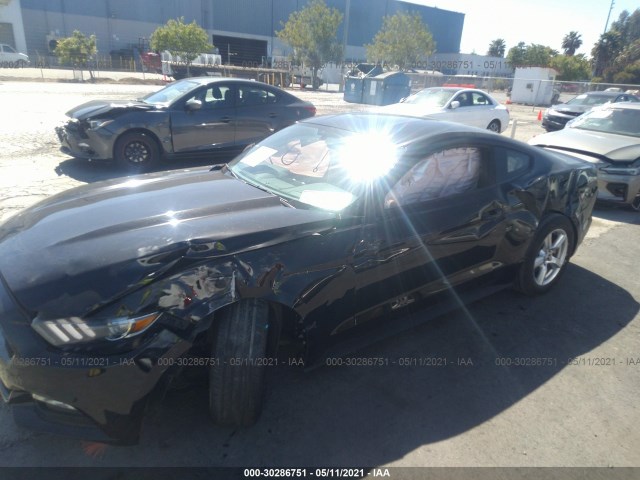 Photo 1 VIN: 1FA6P8AM1F5330236 - FORD MUSTANG 