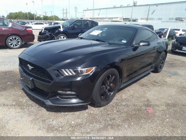 Photo 1 VIN: 1FA6P8AM1F5337607 - FORD MUSTANG 