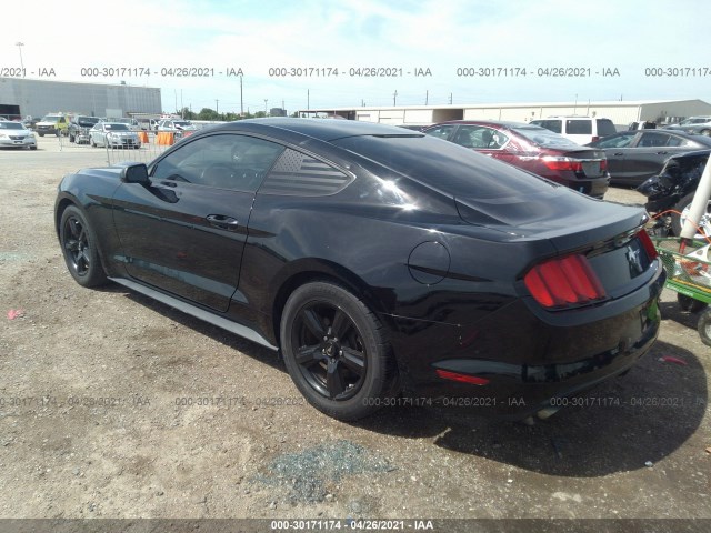 Photo 2 VIN: 1FA6P8AM1F5337607 - FORD MUSTANG 