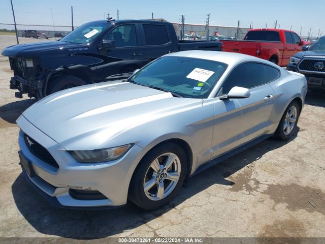 Photo 1 VIN: 1FA6P8AM1F5344900 - FORD MUSTANG 