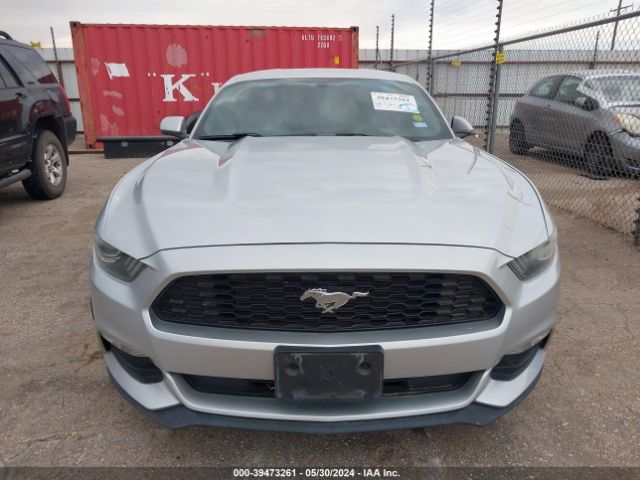 Photo 5 VIN: 1FA6P8AM1F5344900 - FORD MUSTANG 