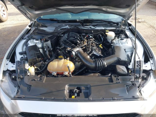 Photo 9 VIN: 1FA6P8AM1F5344900 - FORD MUSTANG 