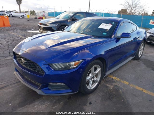 Photo 1 VIN: 1FA6P8AM1F5345254 - FORD MUSTANG 