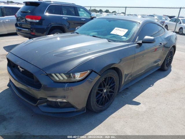 Photo 1 VIN: 1FA6P8AM1F5355198 - FORD MUSTANG 