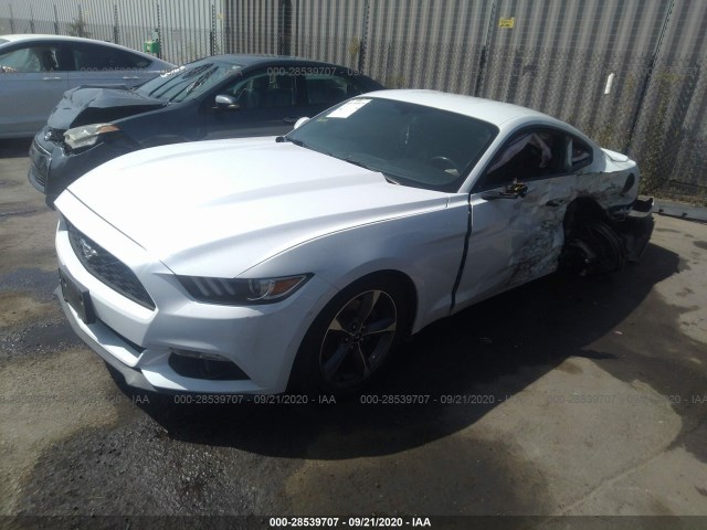 Photo 1 VIN: 1FA6P8AM1F5370560 - FORD MUSTANG 