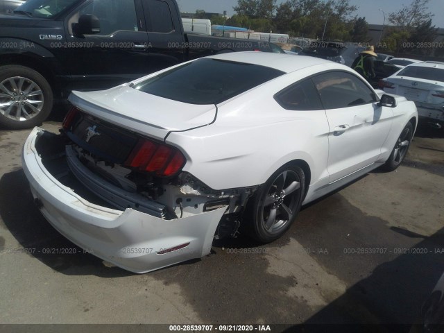 Photo 3 VIN: 1FA6P8AM1F5370560 - FORD MUSTANG 