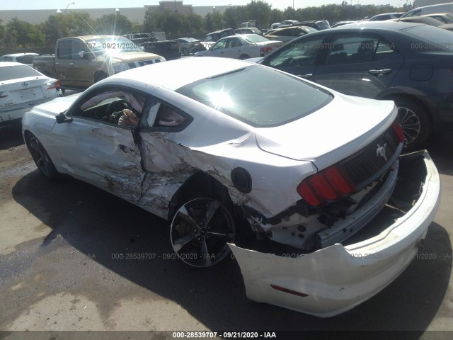 Photo 5 VIN: 1FA6P8AM1F5370560 - FORD MUSTANG 