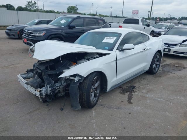 Photo 1 VIN: 1FA6P8AM1F5375435 - FORD MUSTANG 